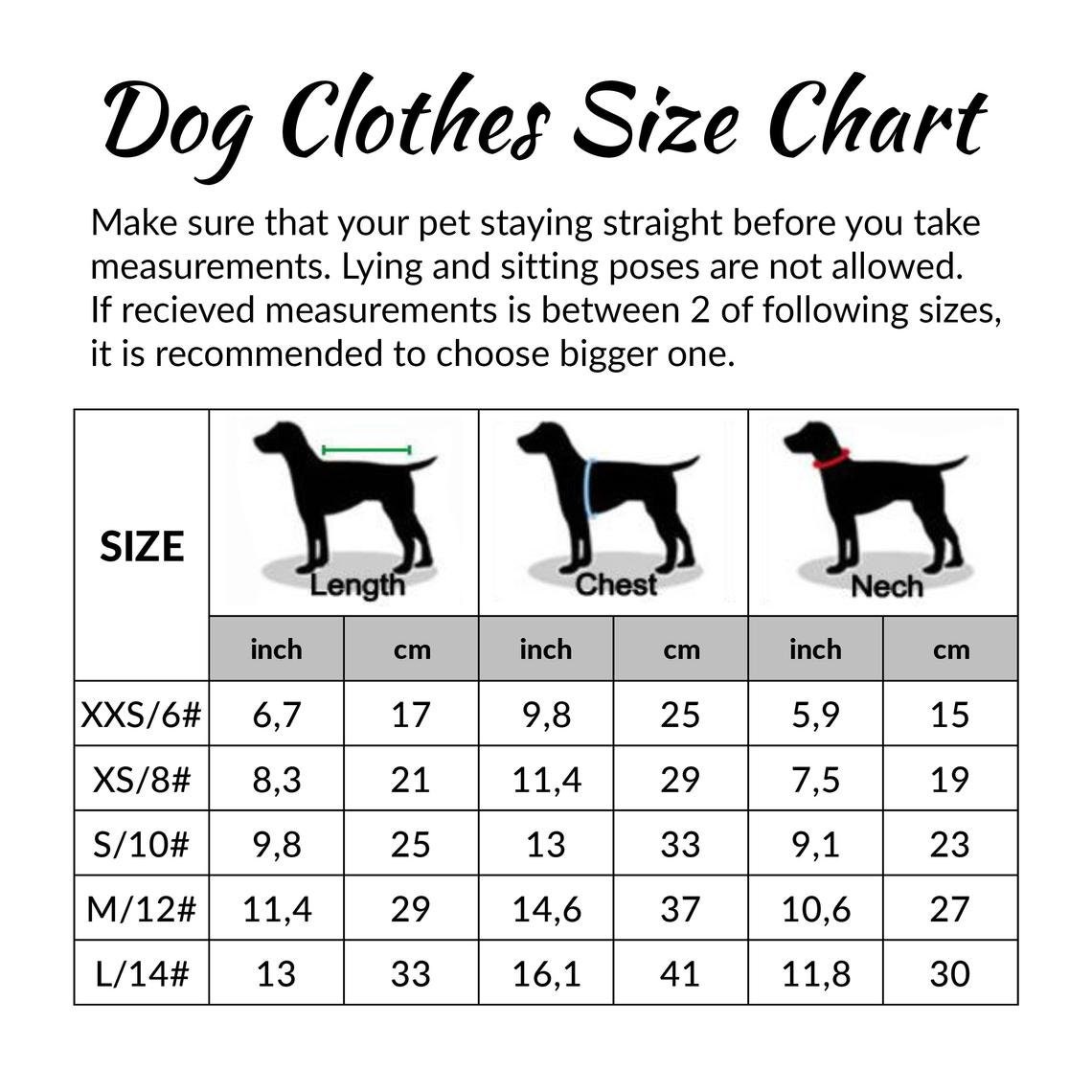 Fluffy Dog Clothes For A Small Dog girl With A Closed Tummy Etsy fluffy-dog-clothes-for-a-small-dog-girl-with-a-closed-tummy-etsy