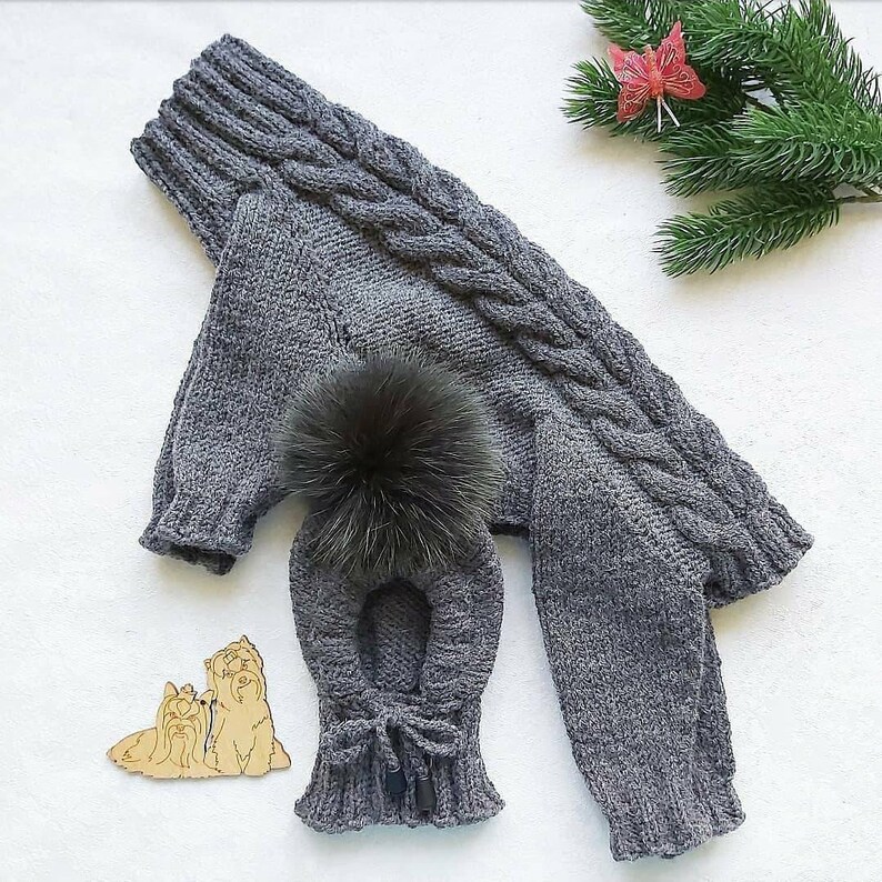 Dog clothes boy Dog sweater and dog hat for chihuahua or Etsy