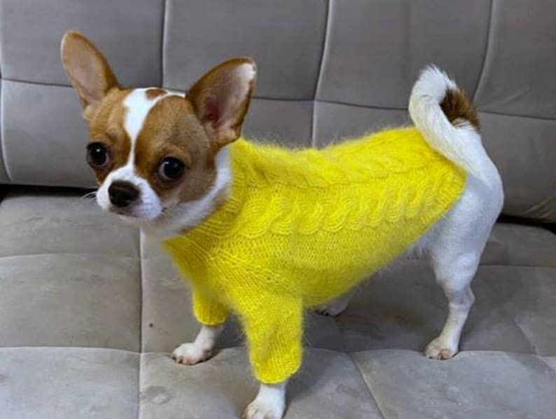 XXS dog clothes Fluffy dog sweater for chihuahua or other Etsy
