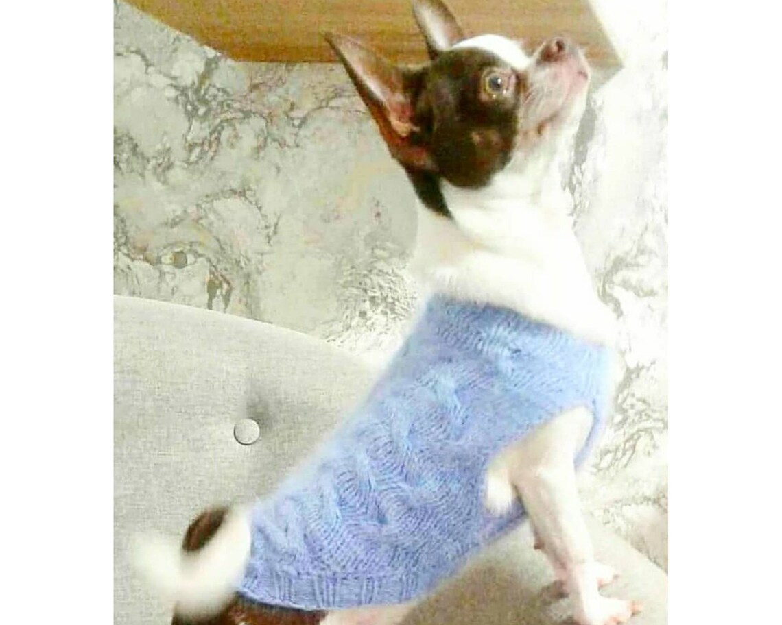 Dog sweater for chihuahua or other small dogs Dog clothes for Etsy