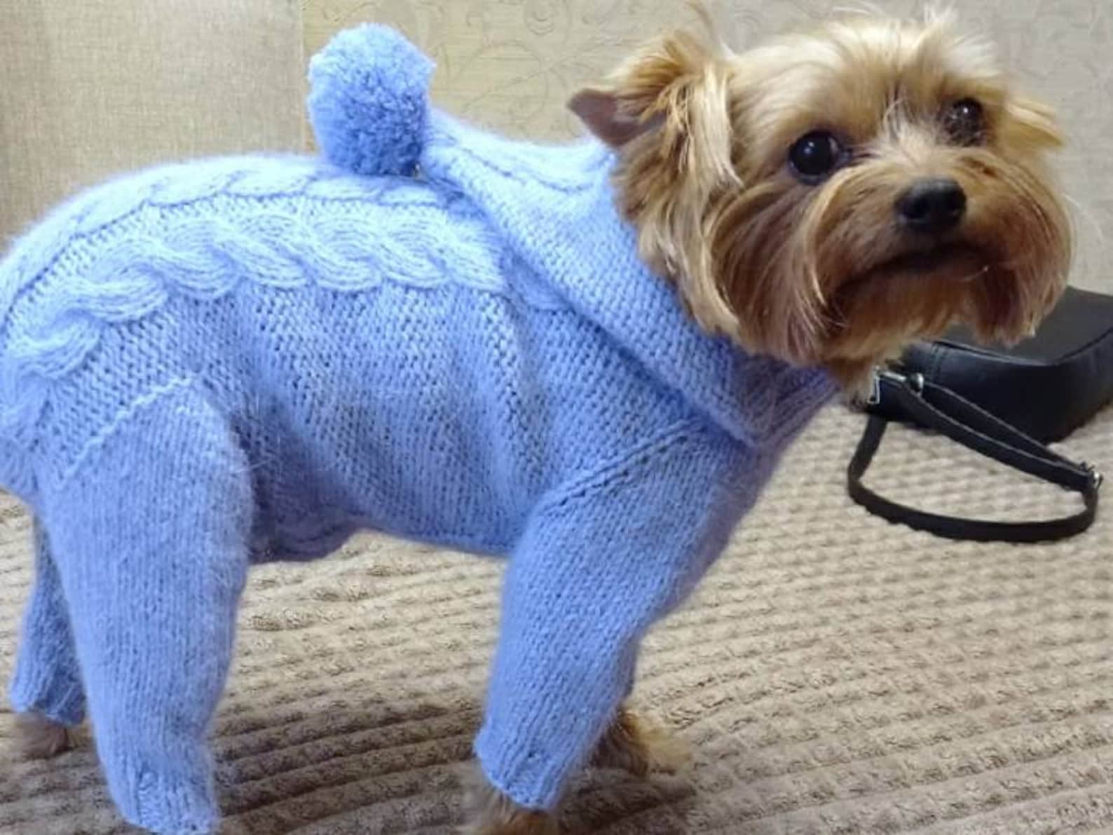 Fluffy dog clothes for a small doggirl with a closed tummy Etsy