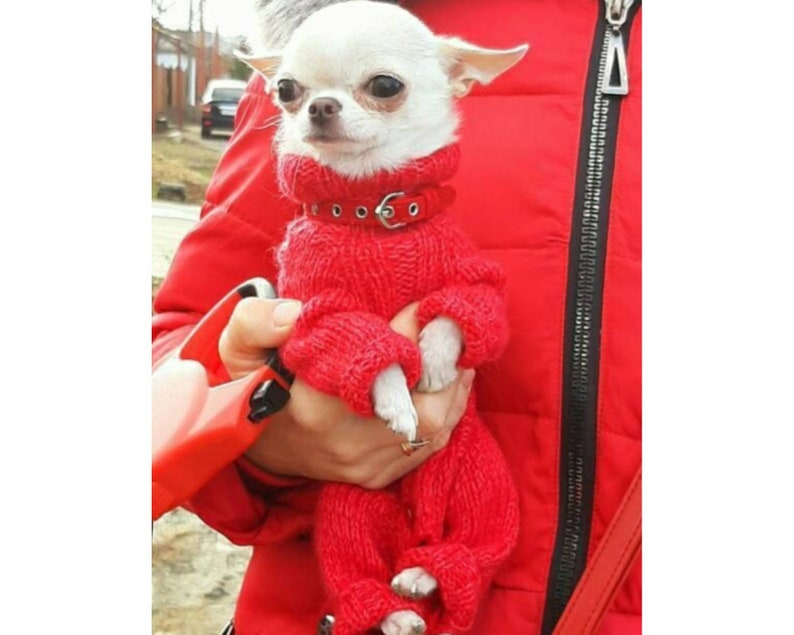 Warm dog clothes for chihuahua girl or other small dogs with a Etsy