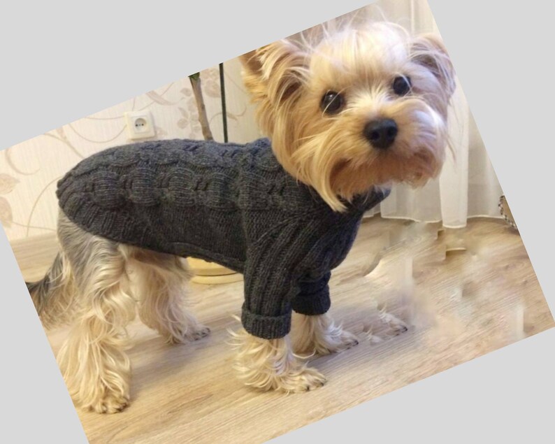 XXS Hundebekleidung für kleine Hunde kleine Hundepullover für Etsy