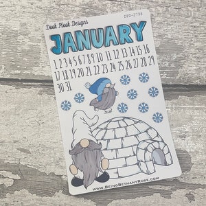 January journalling planner stickers (DPD2829)