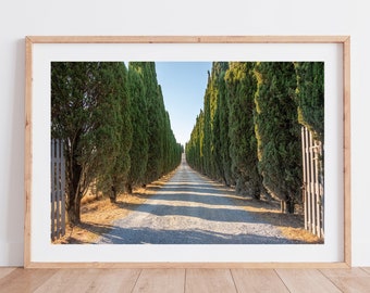 Photography - Tuscany and its cypress trees in Italy