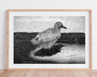 Mouette Art Deco Etsy