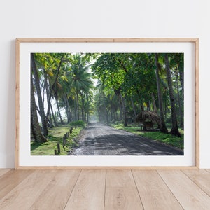 Fotografie - Weg in het midden van palmbomen dichtbij Manuel Antonio in Costa Rica