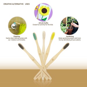 Kids Bamboo Toothbrush, Eco Friendly, Natural Wooden Toothbrushes with Soft BPA-Free Bristles, Pink, Green, Blue, Purple, Yellow, Vegan Gift image 5