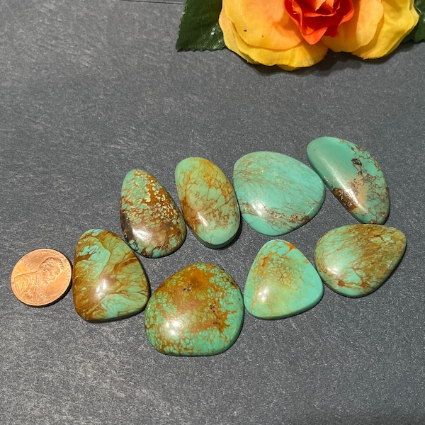 Number 8 Turquoise Mixed Cabochons/Turquoise Cabs/Flat Back Cabochon/194 Carats Turquoise Cabs/qt013