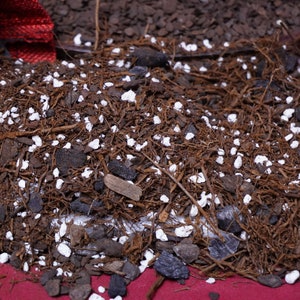 Understory Premium Soilless Aroid Potting Mix with Mycorrhizae
