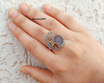 大きな天然巻貝の化石、虹色に輝くアンモナイトの標本 - Etsy 日本