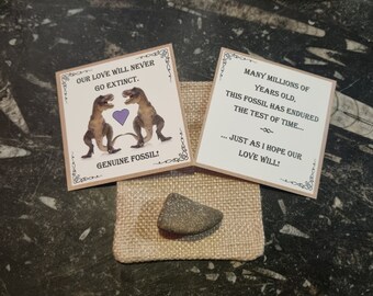 Dinosaur Bone Valentines Gift