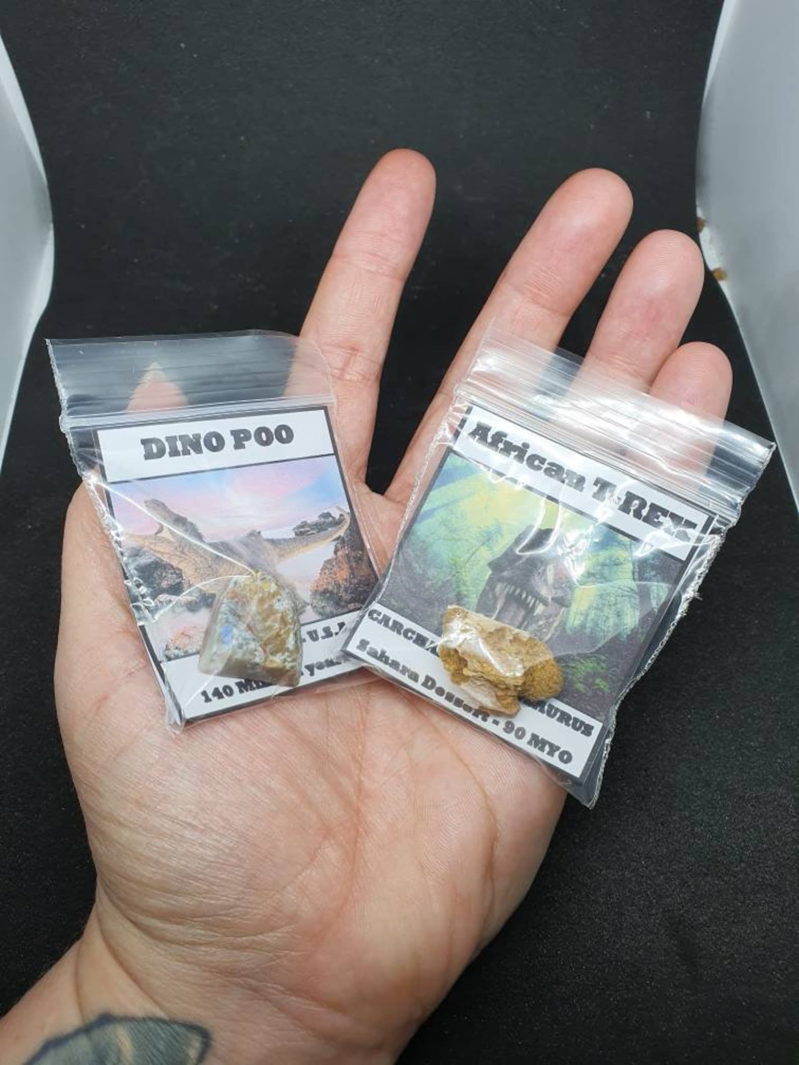 Mosasaur Teeth Fossil Specimen In Matrix Mosasaur Jaw Bone - Foto 10