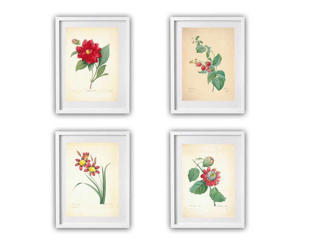 Vintage Red Flora Art Prints, Set of 4, Botanical Wall Decor (5x7) - Etsy