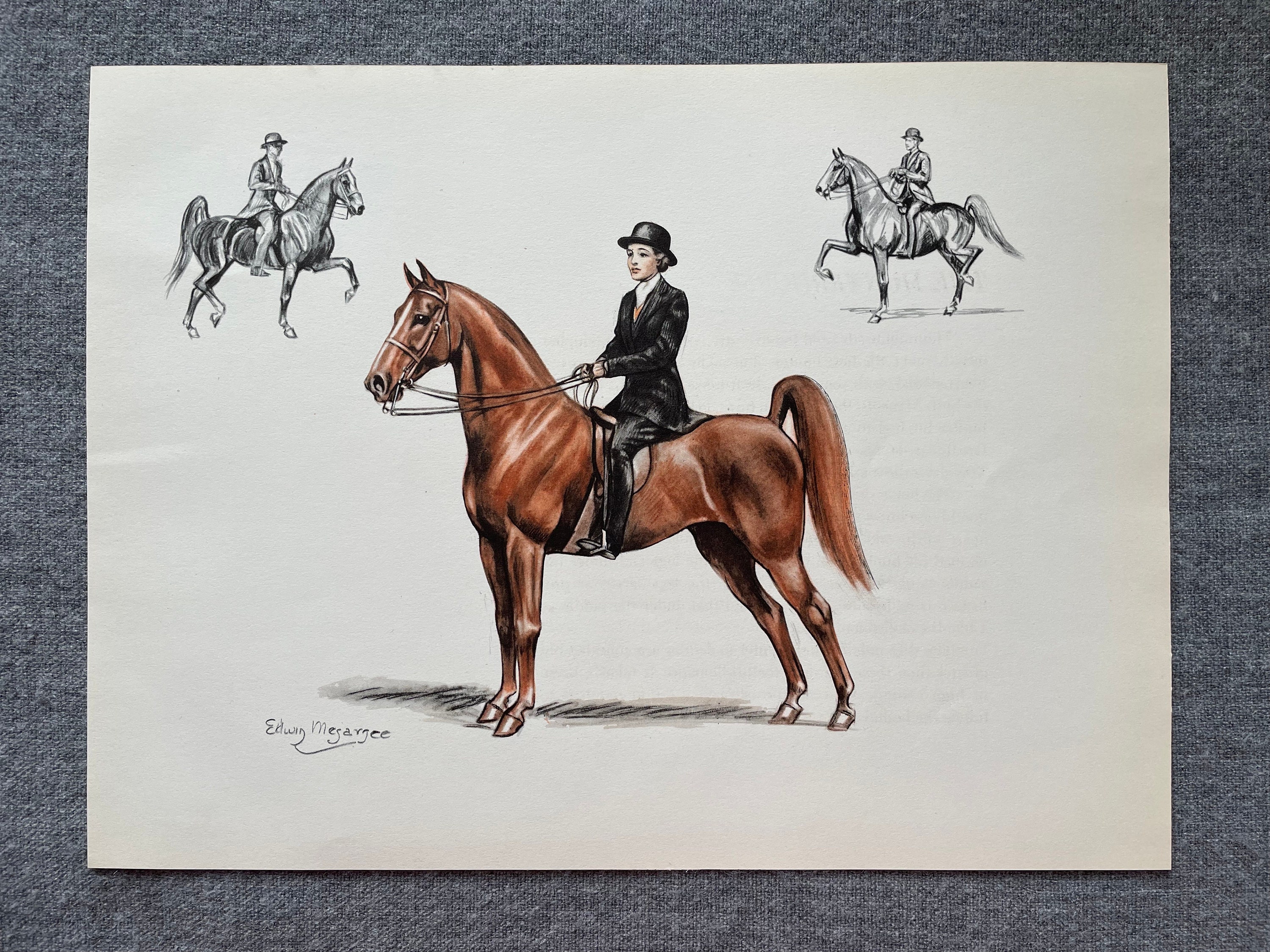 Original Vintage Horse Art Prints by Edwin Megargee in 1946 Etsy UK