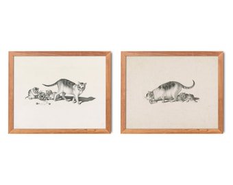 Vintage Cat & Kitten Lithograph Reproduction Set, 1860s Pencil Drawings
