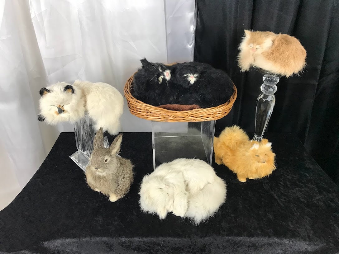 Vintage Lifelike Realistic Animal Collection, Sleeping Kitties / Cats, Rabbit, Fox