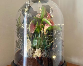 Gothic Carnivorous Plant Dome Cloche | Lighted Spooky Botanical Decor