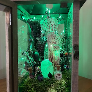 May include: A wooden lantern with a glass front, lit by green fairy lights. The interior features Halloween decorations: a glowing green crystal, miniature potion bottles, and a small bottle labelled "Poison". The lantern is a spooky decorative item.