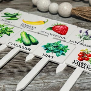 Botanical Garden Plant Stakes — Herb, Vegetable & Fruit Markers
