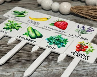 Estacas para plantas de jardín botánico: marcadores para hierbas, verduras y frutas.