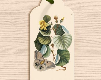 Vintage Mano Tree Gift Tags, 10 Pack, Christmas Foliage Illustration,  Large Gifting Hang Tag