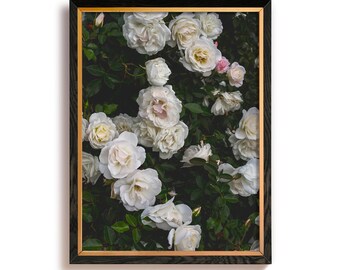 White Roses Vintage Art Print, Farmhouse Wall Decor