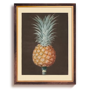 Vintage Pineapple Art Print Poster, Vintage Fruit Wall Art, Rustic Kitchen, Farmhouse, Vintage Boho Art Print