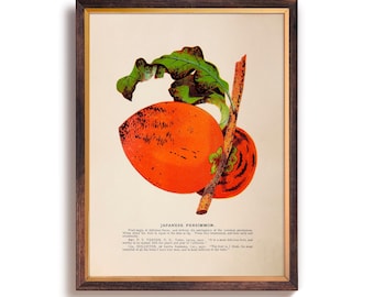 Vintage Japanese Persimmon Fruit Print, Farmhouse Kitchen Art