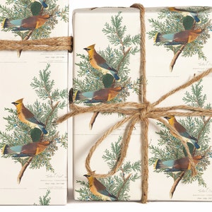 May include: Two white gift boxes wrapped in brown twine with a pattern of cedar branches and birds. The boxes are tied with twine and have a botanical illustration of a cedar tree and a bird.