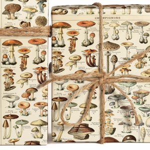 May include: Two sheets of wrapping paper with a vintage illustration of different types of mushrooms. The paper is cream colored with brown and black illustrations of mushrooms. The paper is tied together with twine.