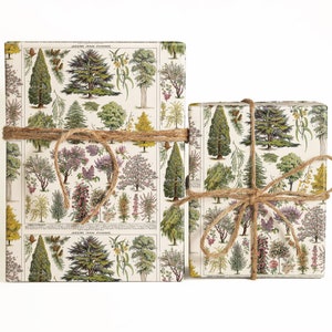 May include: Two gift boxes wrapped in white paper with a botanical print of trees and flowers. The boxes are tied with twine.