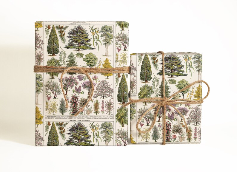 May include: Two gift boxes wrapped in white paper with a botanical print of trees and flowers. The boxes are tied with twine.
