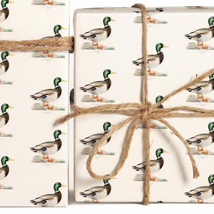 May include: White wrapping paper with a repeating pattern of brown ducks with green heads. The paper is tied with brown twine.
