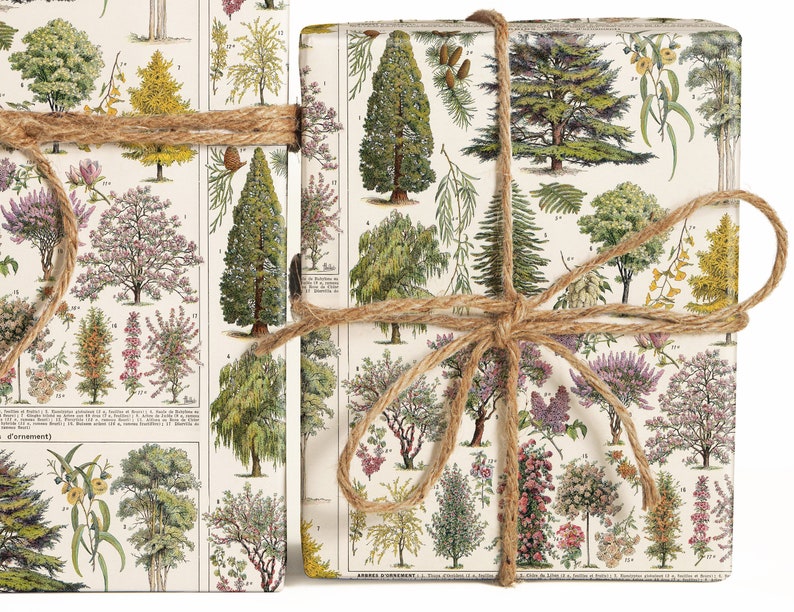 May include: Two gift boxes wrapped in white paper with a botanical print of various trees and flowers. The boxes are tied with brown twine.