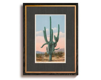 Vintage Saguaro Cactus Art Print, Eclectic Folk Flora Wall Art, Farmhouse, Mid Western Rustic Photo, Giant Cactus Illustration