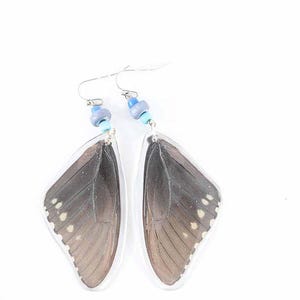 REAL BUTTERFLY WINGS in resin Dangle Earrings!