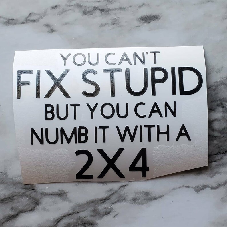 You cant fix stupid decal for car vinyl sticker for laptop Etsy
