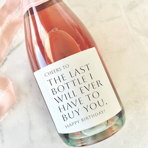 21st Birthday Wine label, Finally 21 Twenty One Fun Wine Bottle Label Funny Cute Gift for Her Gift Present 21st Party