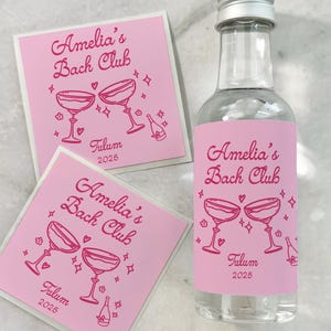 May include: A clear glass bottle with a silver cap and two square stickers, all featuring a pink label with the text Amelia's Bach Club, Tulum 2025, and illustrations of two clinking cocktail glasses, small hearts, stars, and a champagne bottle.
