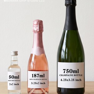May include: Three bottles of varying sizes: a 50ml clear mini shot bottle with a 2x2 inch label, a 187ml pink mini champagne bottle with a 3.25x2 inch label, and a 750ml dark green champagne bottle with a 4.25x3.25 inch label. Text reads BANANA CHIP STUDIO LLC.