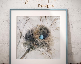 Robin Nest Watercolor Painting: French Country Farmhouse Art (Digital Download)