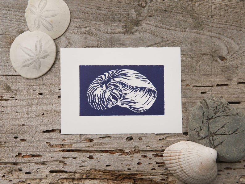 Linocut Shell Fruit Nautilus Shell, Linocut Block Print, Hand Printed, Coastal Art Home ...