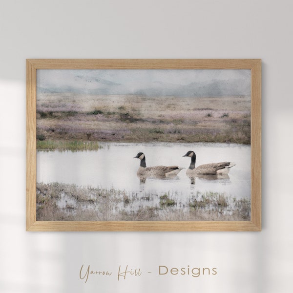 Canada Geese Wildlife On Pond, Canada Goose Painting, Modern Farmhouse Art Prints, Cottage Style Wall Art Decor, Printable Goose Art