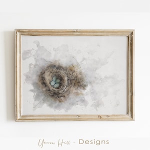 Robin Nest & Eggs, Nature Bird Nest Painting, Wall Decor Digital Print, French Country Farmhouse Style Art, Downloadable Printable Artwork