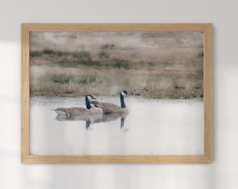 Pintura de gansos canadienses: arte otoñal de granja, decoración de pared con pintura paisajística (descarga digital)