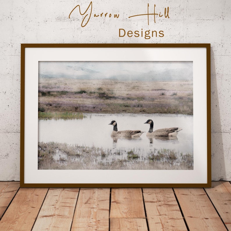 living room wall art decor of two Canadian geese, Canada goose swimming on pond or lake watercolor painting downloadable print