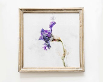 Iris Floral Print, Watercolor Botanical Iris Painting, Farmhouse Wall Art, Art Prints, Wall Art Decor, Printable Flower Art