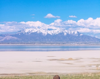 Antelope Island State Park - Fine Art Landscape Nature Photography Prints -