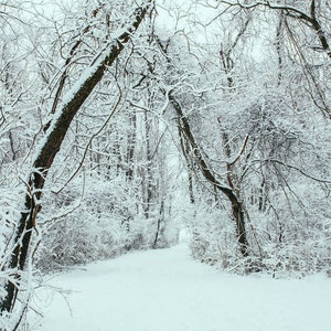 Hiver en Pennsylvanie Fine Art Landscape nature print photo mur décor image 1